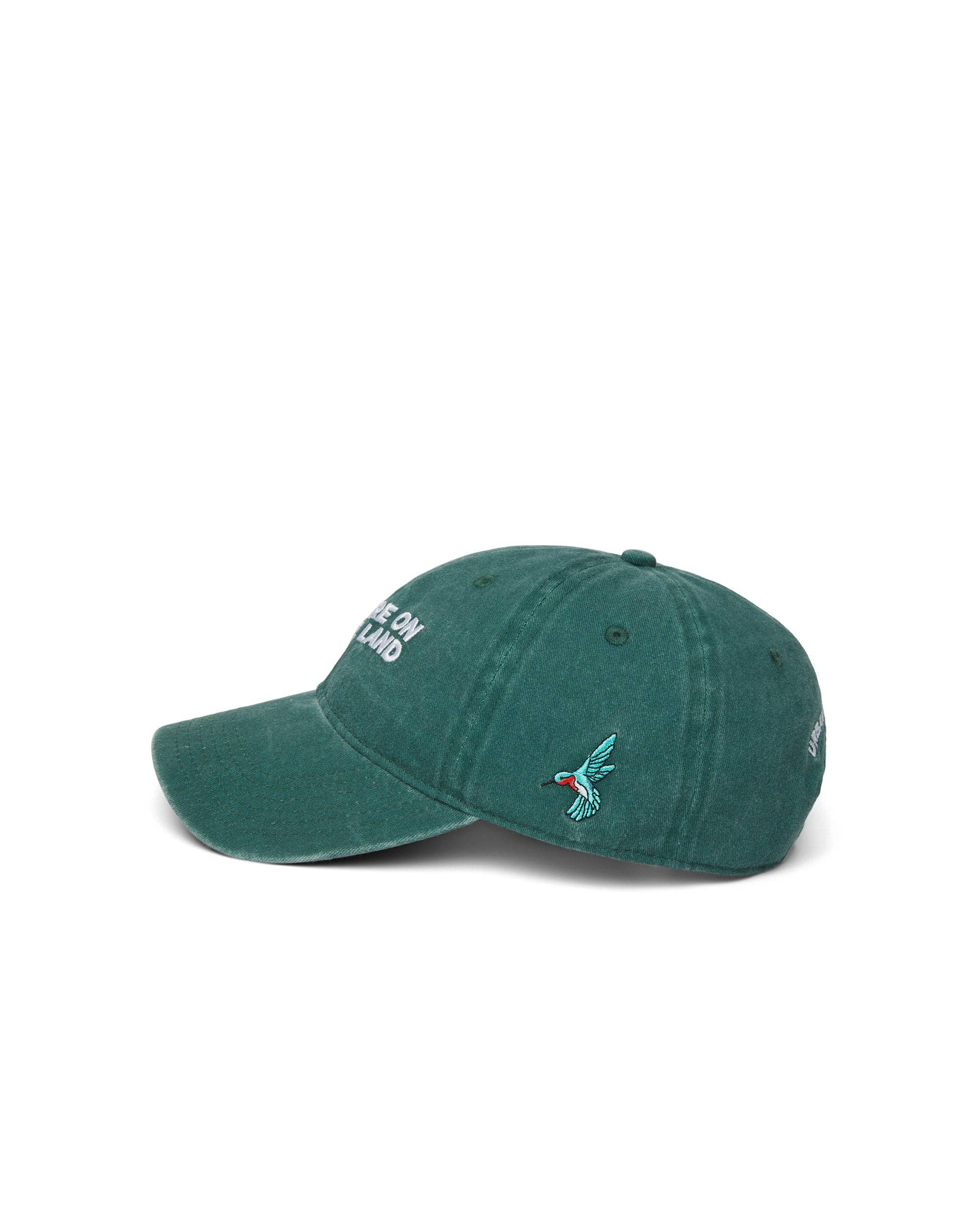 You Are On Native Land Dad Cap - Green - Sculptress