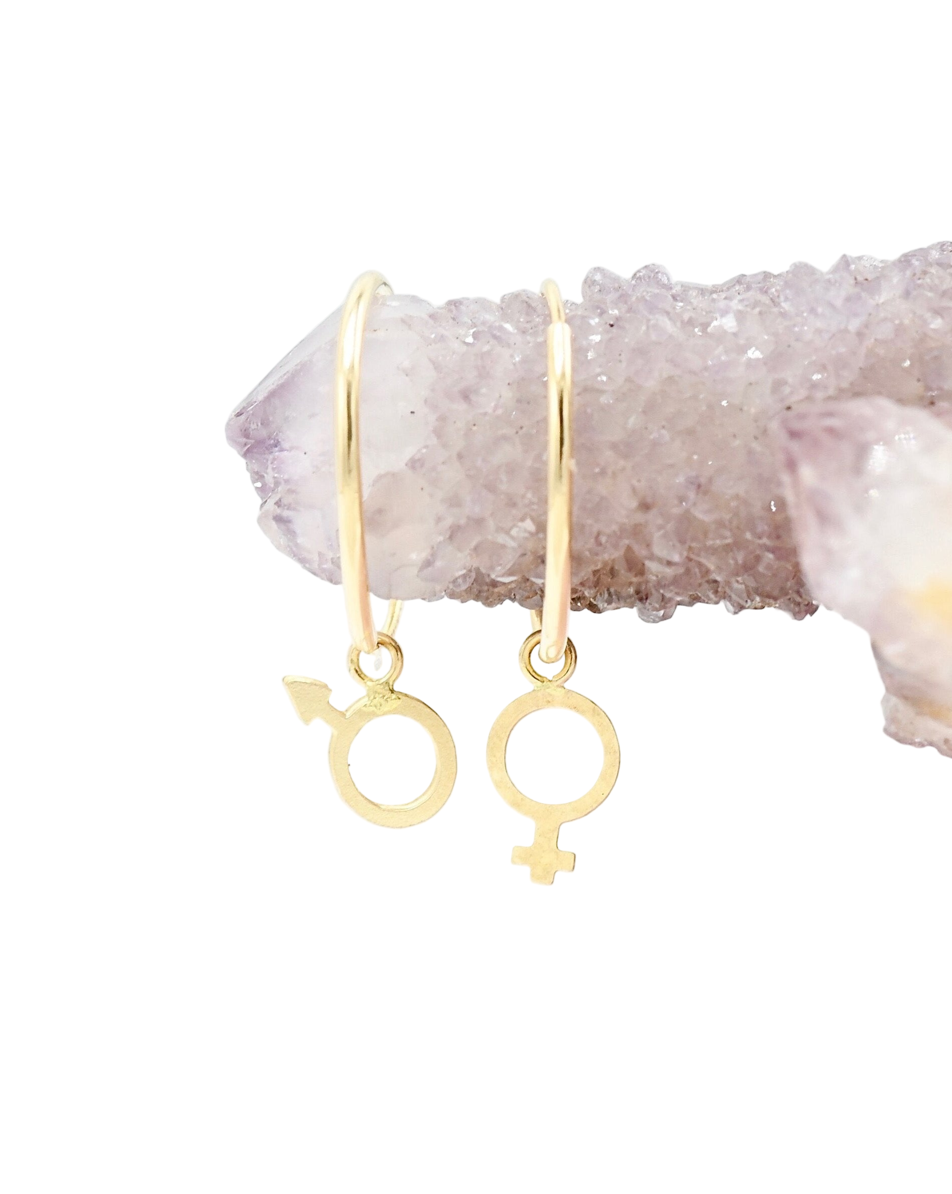 Venus & Mars Hoop Earrings - Sculptress