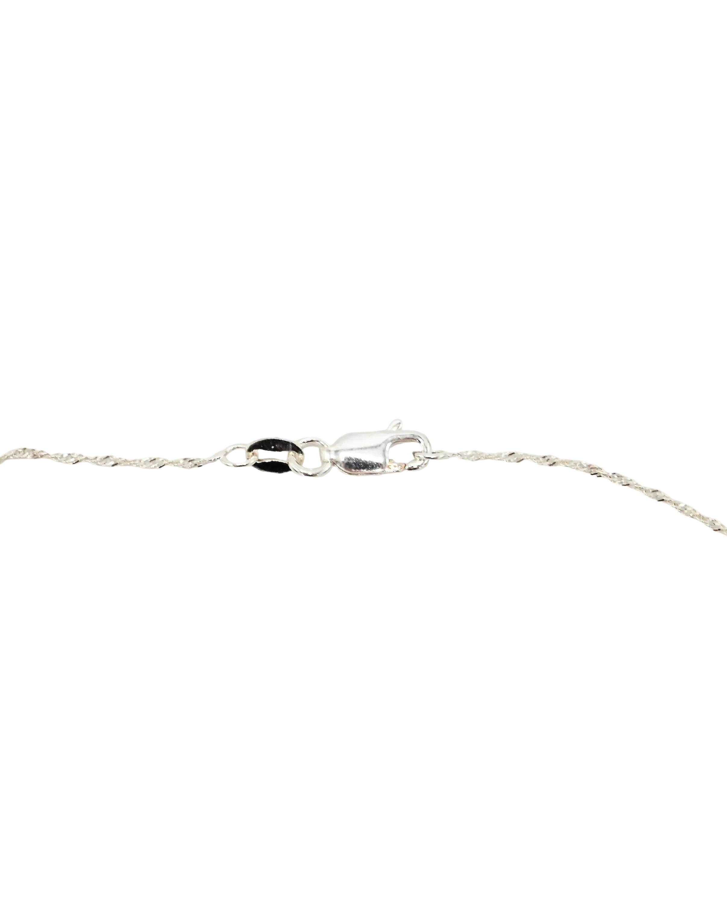 A close-up of a silver chain necklace showing the lobster clasp closure, set against a plain white background.