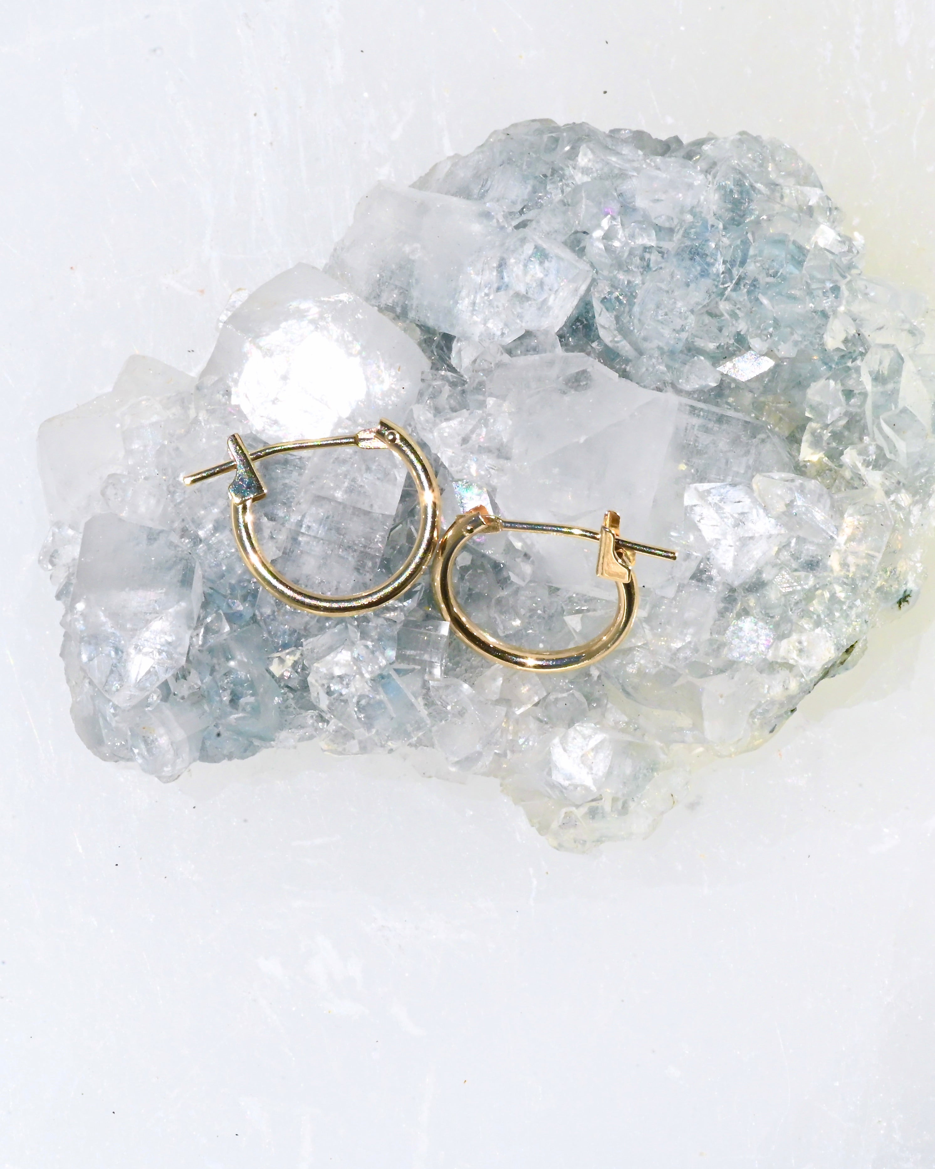 Salacia Hoop Earrings - Sculptress